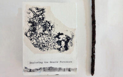 Edge, Ghostly Remnants and Foreshore