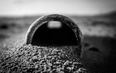 Spurn